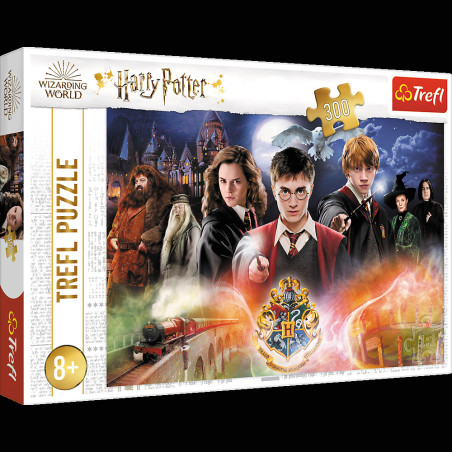 Pussel Harry Potter 300 bitar. Mysteriet Harry Potter 23001. | HandlaSmidigt.se