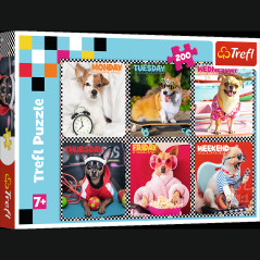 Pussel - 200 - Glada hundar - Trefl 13279 | HandlaSmidigt.se