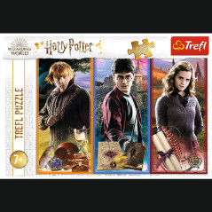 Pussel Harry Potter 200 bitar. I en värld av magi och trolldom. Trefl 13277. | HandlaSmidigt.se