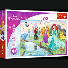 Pussel - 60 - Lär känna prinsessorna - Disney Princess Trefl 17361 | HandlaSmidigt.se