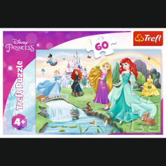 Pussel - 60 - Lär känna prinsessorna - Disney Princess Trefl 17361 | HandlaSmidigt.se