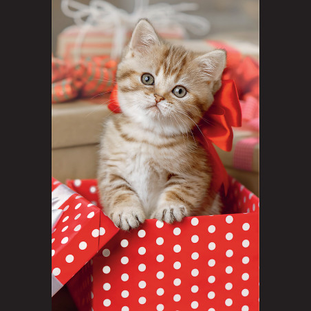 Pussel - 54 minipussel - Förtjusande djur - Trefl 54195