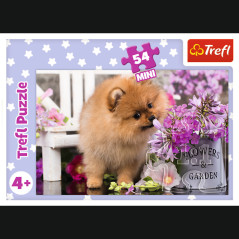 Pussel - 54 minipussel - Förtjusande djur - Trefl 54195 | HandlaSmidigt.se