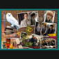 Pussel 10w1 Harry Potter I Harry Potters värld 90392