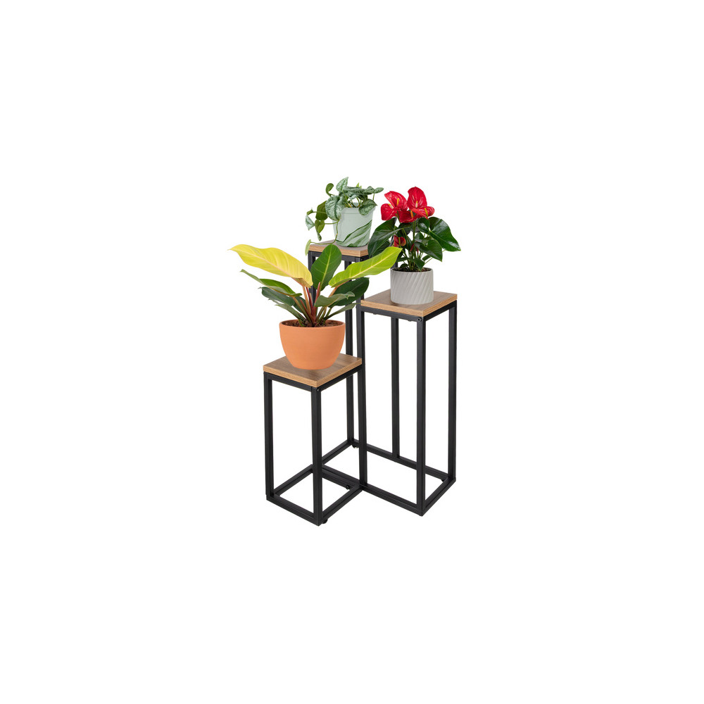 Blomsterväxtställning 67cm Ruhhy 25626