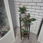 Blomstervagn stående 80 cm Ruhhy 25627