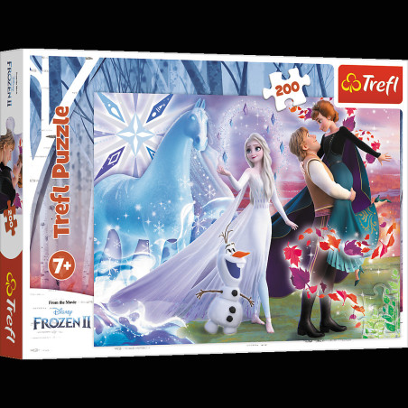 Pussel - 200 - Systrarnas magiska värld - Disney Frost Trefl 13265