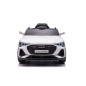Bil På Batteri Audi E-Tron Vit QLS-6688