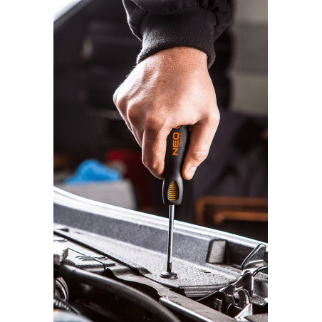 Krysskruvmejsel PZ1 x 100 mm, S2