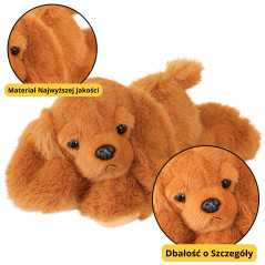 Mjukis Cocker Spaniel Hund med Tyngda Tassar Brun 30cm