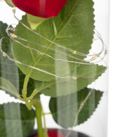 Ros i glas - lysande Ruhhy 25682