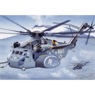 Mh-53e sea dragon

MH-53E Sea Dragon