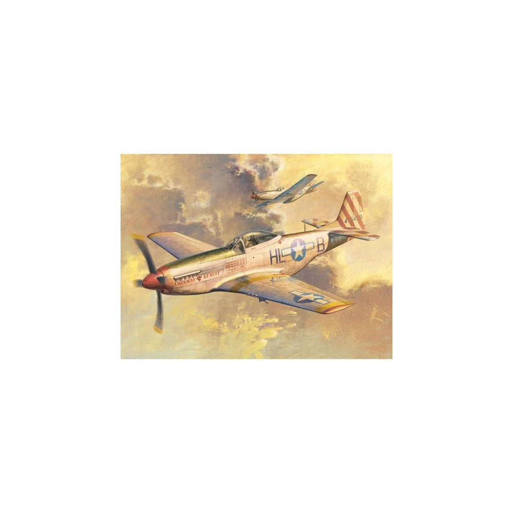 Trumpeter P-51D Mustang

Trumpeter P-51D Mustang