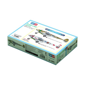 Modell av plast p-38l-5-l0 Lightning, amerikanskt stridsflygplan.