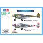 Modell av plast p-38l-5-l0 Lightning, amerikanskt stridsflygplan.