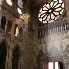 Pussel 3D 293 delar Notre-Dame-katedralen | HandlaSmidigt.se