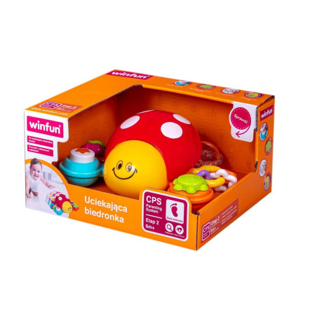 Biedronka jagar ikapp dig, lilla nyckelpiga.