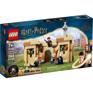 Klocki harry potter 76395 pierwsza lekcja latania