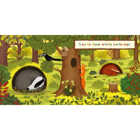 Boken år i skogen. grävling