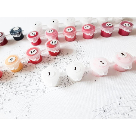 Målning efter nummer. Vänner från safari.