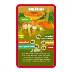 Kortspel Top Trumps: Svamp plockning