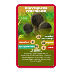 Kortspel Top Trumps: Svamp plockning | HandlaSmidigt.se