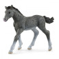 Trakehner fölstatyett
