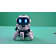 Robot chipz. Intelligent robot.

(Robot chipz. Intelligent robot.)