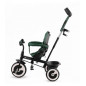 Trehjuling cykel aston mystic green