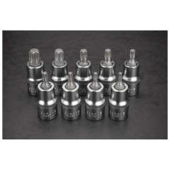Torx-spetsar på en 55 mm hylsa, set med 9 stycken.