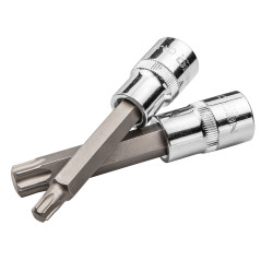 Torx-spetsar på en 100 mm hylsa, set med 9 stycken.