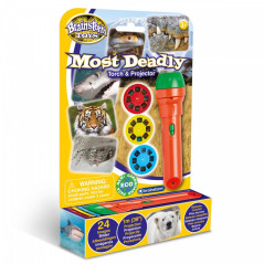 Ficklampa och projektor brainstorm - djur