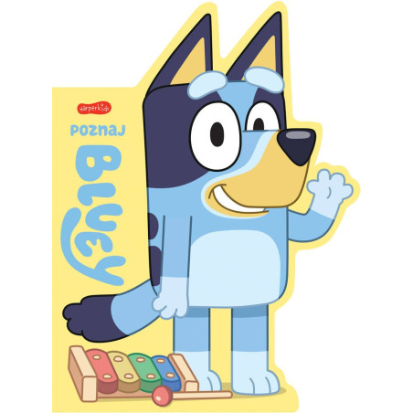 Boken 'Lär känna Bluey' är en kartongbok.