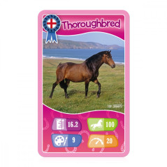 Kortspel Top Trumps hästar, ponnyer och enhörningar.