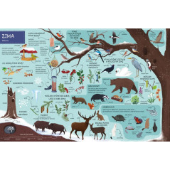 Boken om årstiderna