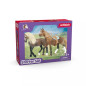 Startpaket horse club peruansk paso