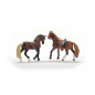 Startpaket horse club peruansk paso
