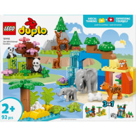 Klocki duplo 10446 rodziny dzikich zwierząt 3 w 1