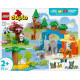 Klocki duplo 10446 rodziny dzikich zwierząt 3 w 1