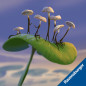Spela mycelia