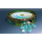 Spela mycelia