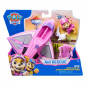 For fordonet 'Paw Patrol' Sky.
