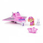 For fordonet 'Paw Patrol' Sky.
