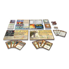 Spelet Spirit Island är en skog och klor.