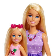 Barbie docka familj och vänners systrar på picknick