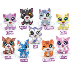 Figurine of a dirty cat in a bath, bonus set, candy. 

Please note that 'brudaski' is not a standard Polish word, so the transla