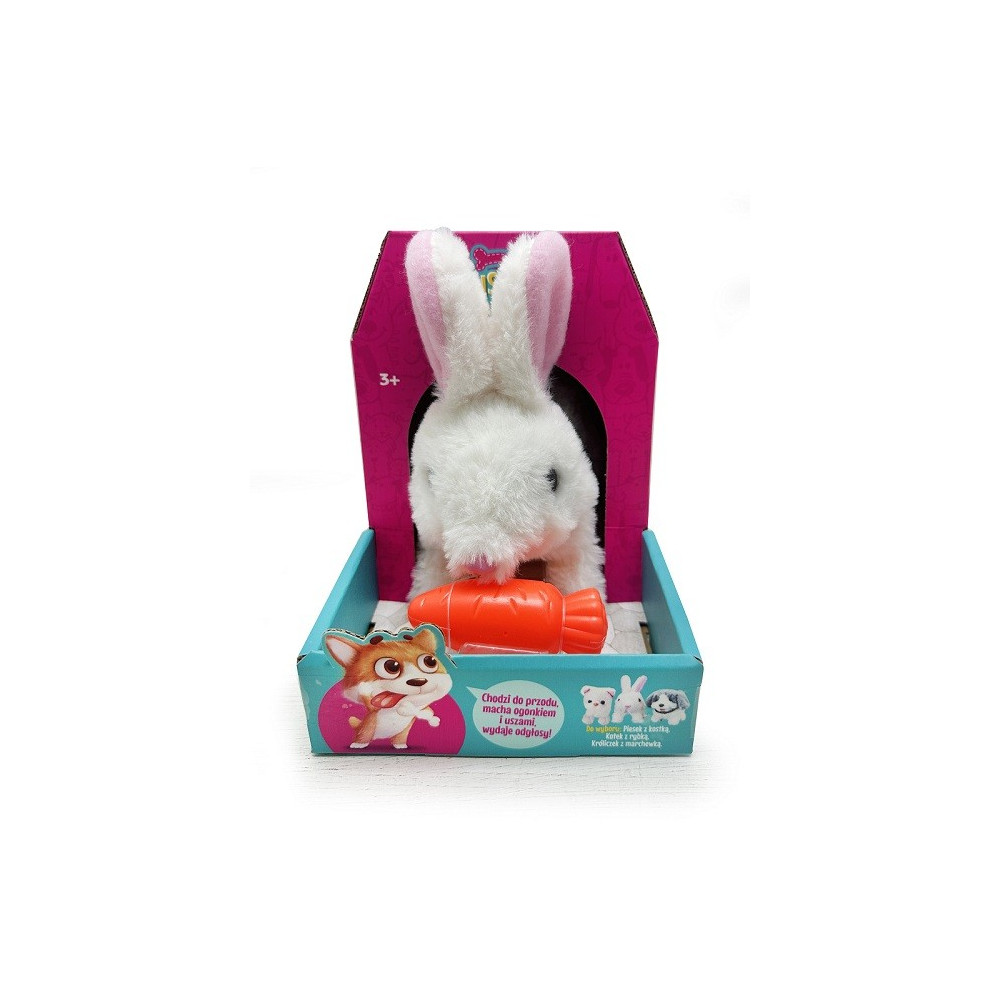 Hare med en morot Hare med en morot