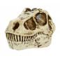 Figurin grossmos blind dino 1 styck