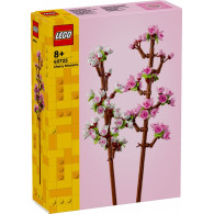 Block 40725 cherry blossoms