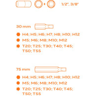 Bits set with screwdriver tips 30-75 mm, 40 pieces, insert